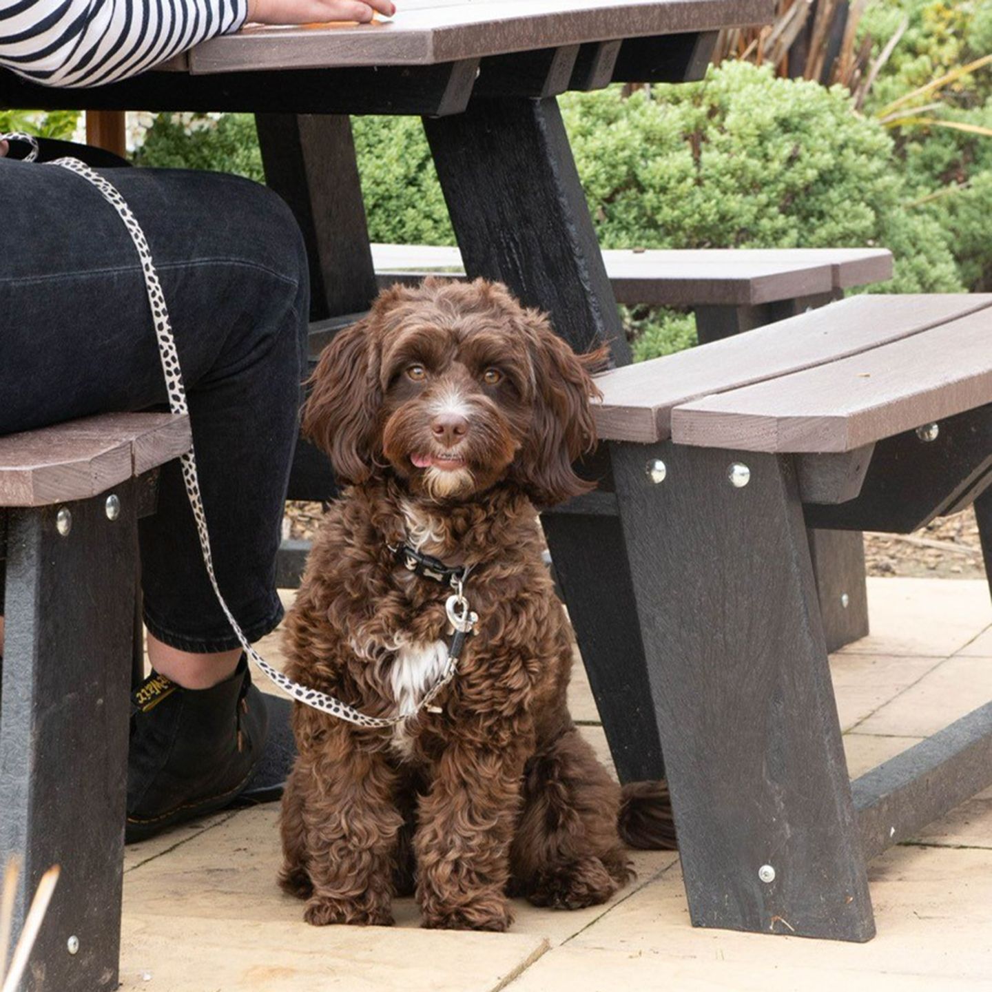 Your local dog friendly pub in Shawfair